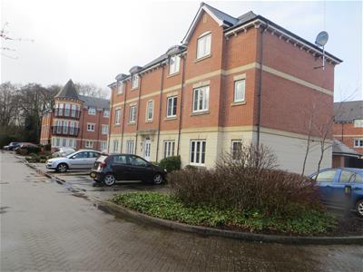 Picture 17